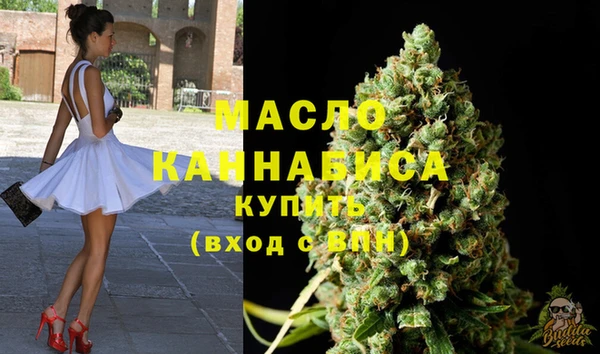 спайс Каменка