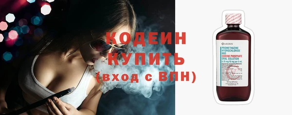 спайс Каменка