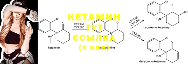 гашик Карталы