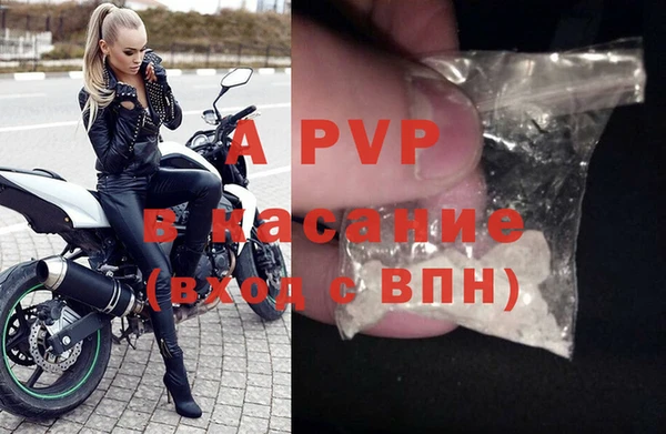 спайс Каменка
