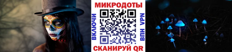 Купить закладки  Исилькуль  Галлюциногенные грибы MAGIC MUSHROOMS 